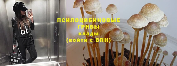 бутират Вяземский