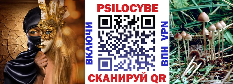Купить закладки  Сасово  Галлюциногенные грибы мухоморы 